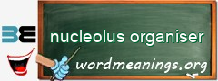 WordMeaning blackboard for nucleolus organiser